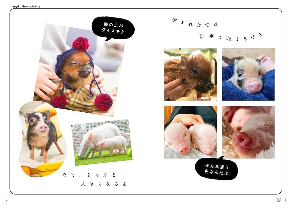 あたま（プロフ読んでください）ページ 復刻版】しらたまちゃんの10変化🐽‼︎ #マイクロブタ #ミニブタ